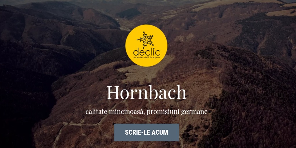 Declic: Hornbach își minte clienții, vinde în continuare lemn tăiat ilegal din România