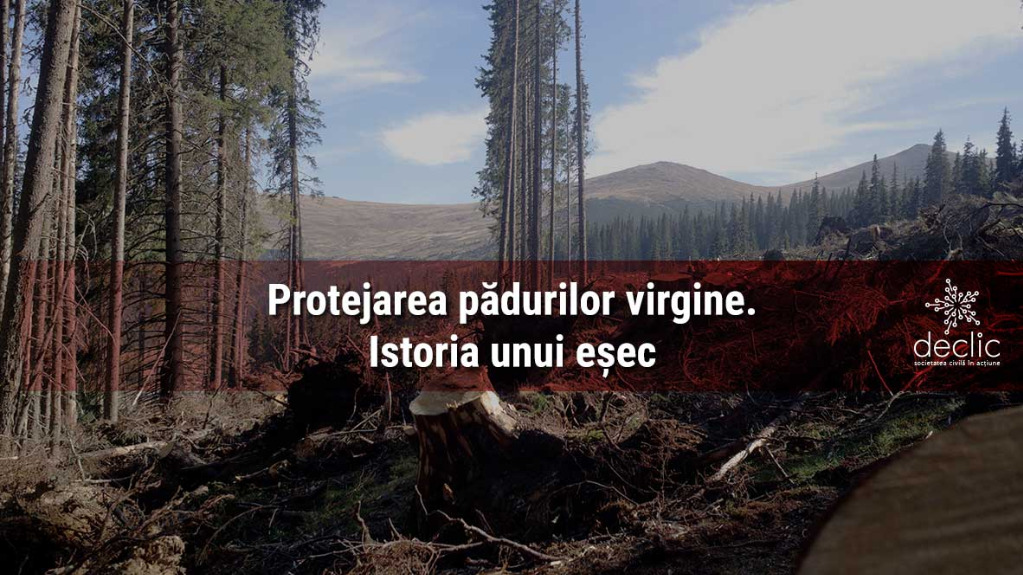 Protejarea pădurilor virgine. Istoria unui eșec