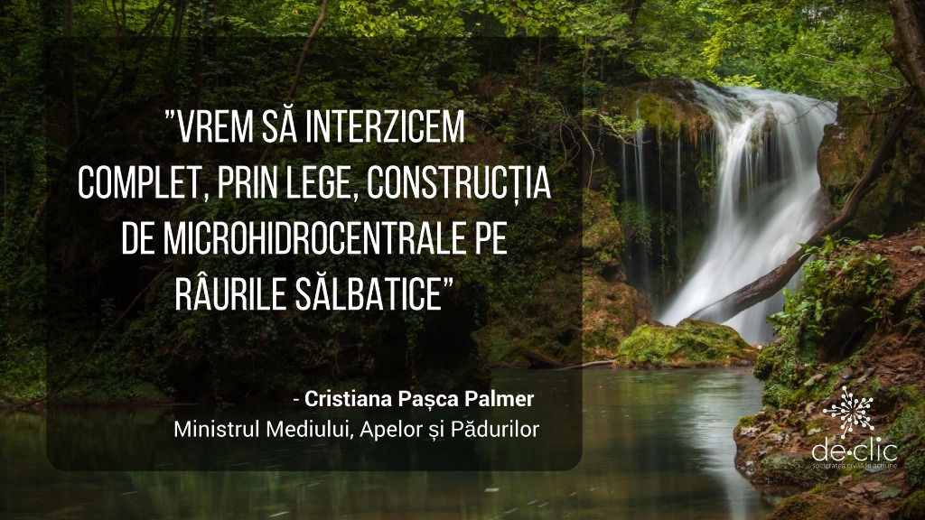 Palmer: Anul acesta nu există niciun fel de lucrare de microhidrocentrale în construcţie. OARE?