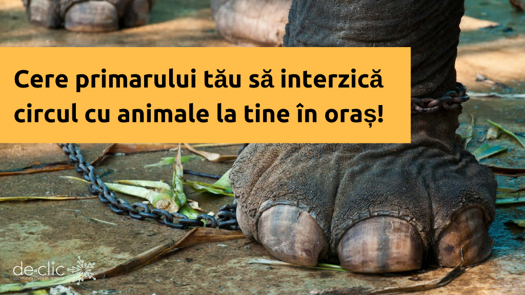 Interzicem circul cu animale ÎMPREUNĂ!