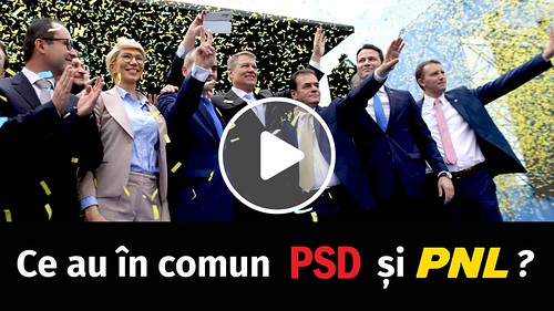 pnl psd sectia speciala
