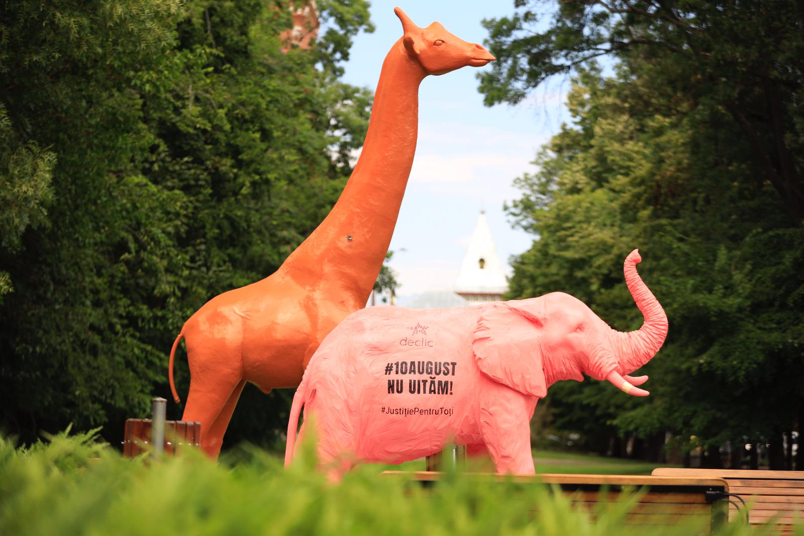 elefant girafa