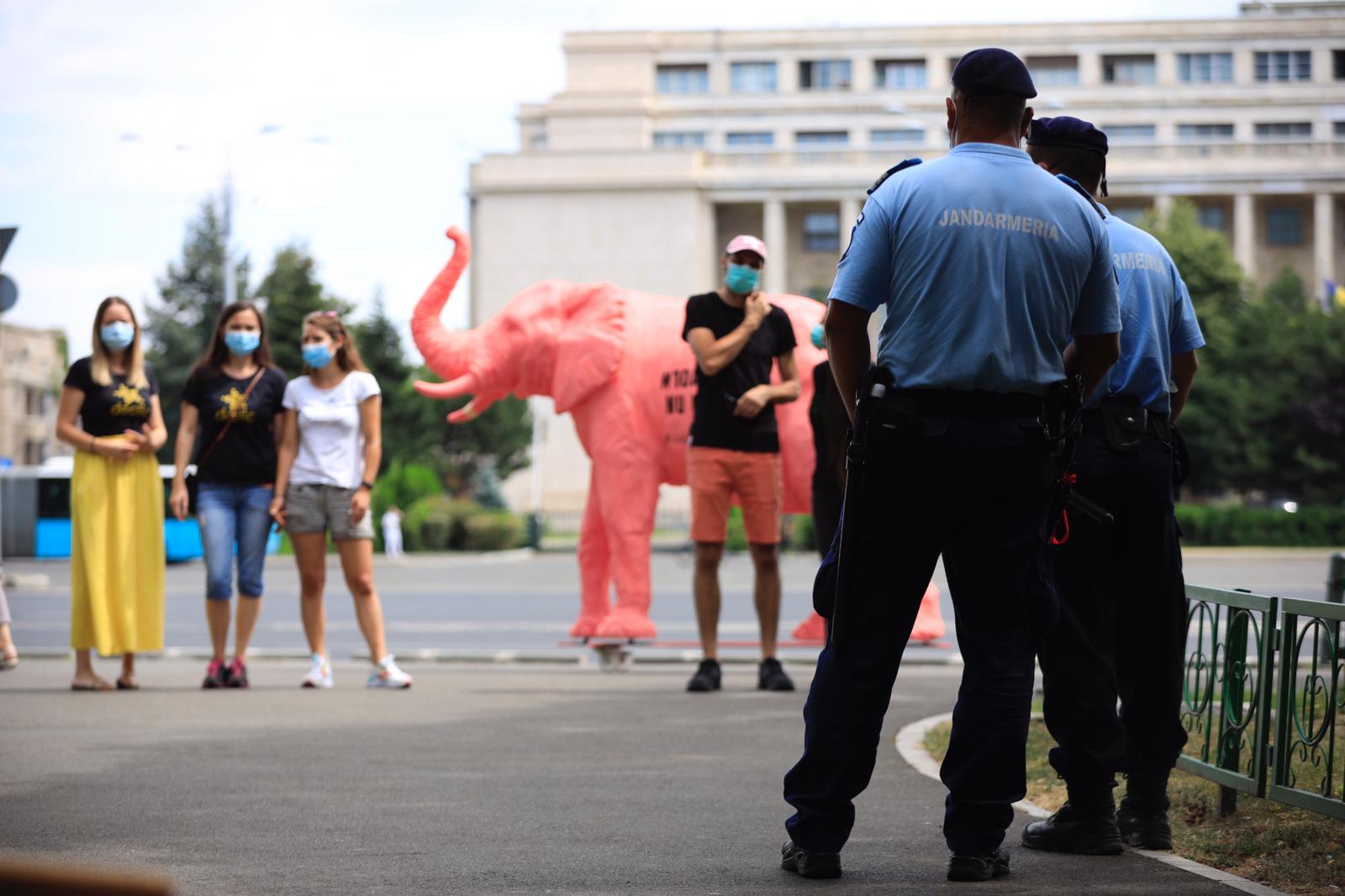elefant jandarmi Pta Victoriei