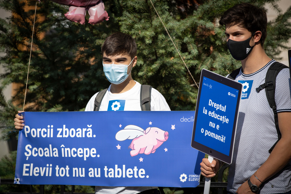 porcii zoboara 2020 1