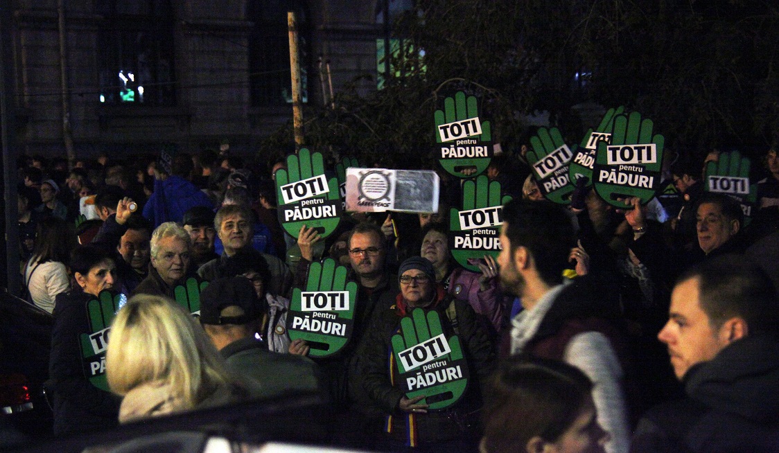 Marsul pentru paduri 3