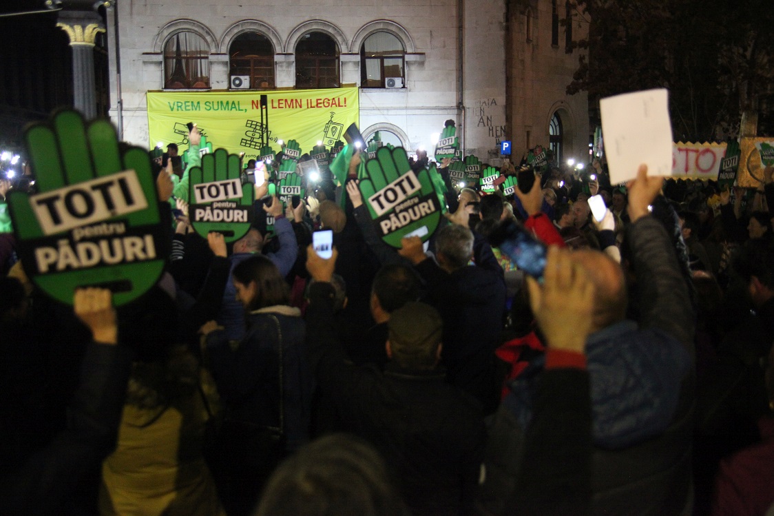 Marsul pentru paduri 4