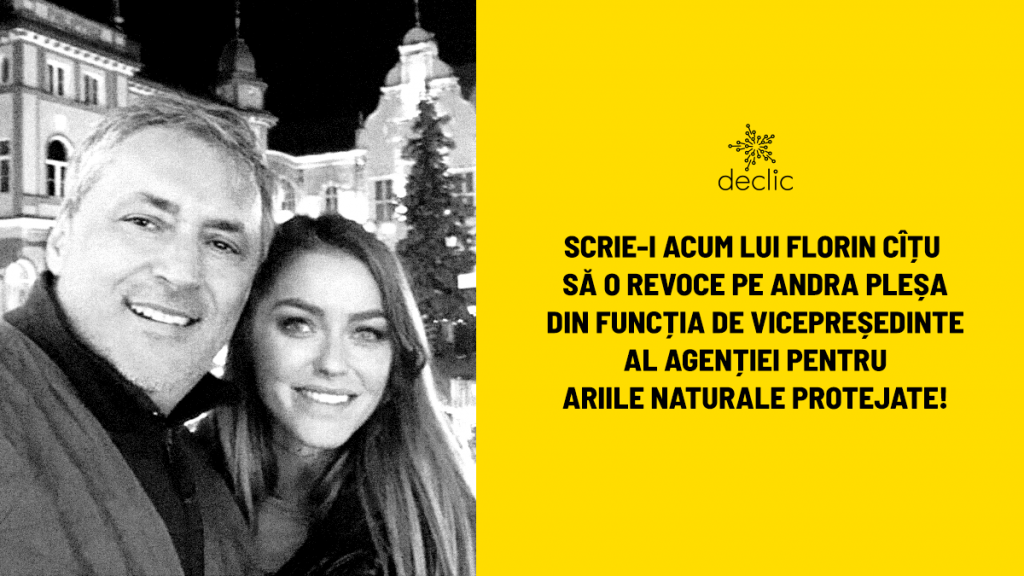 Nepotism si conflict de interese: pasul următor