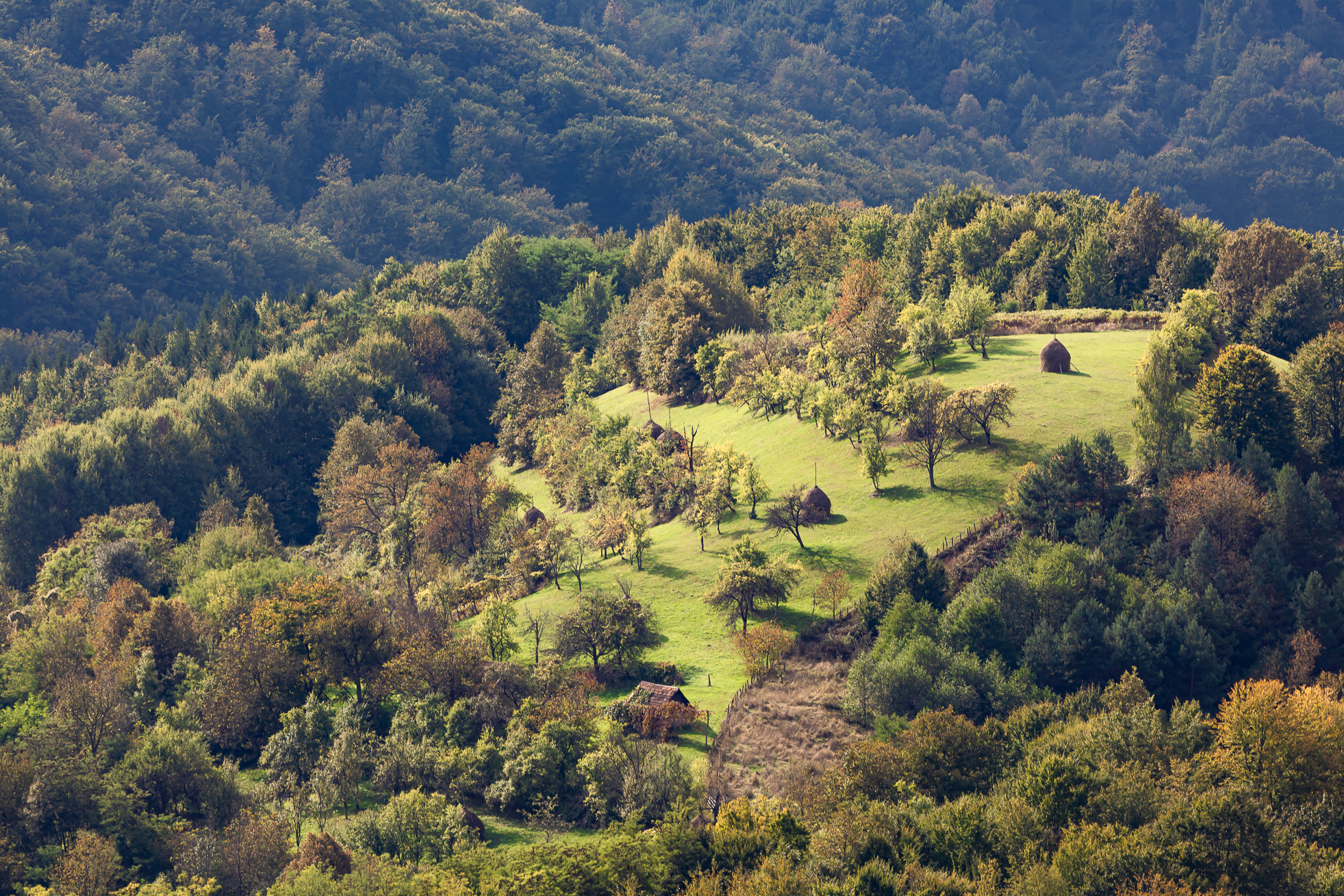 rovina-valley