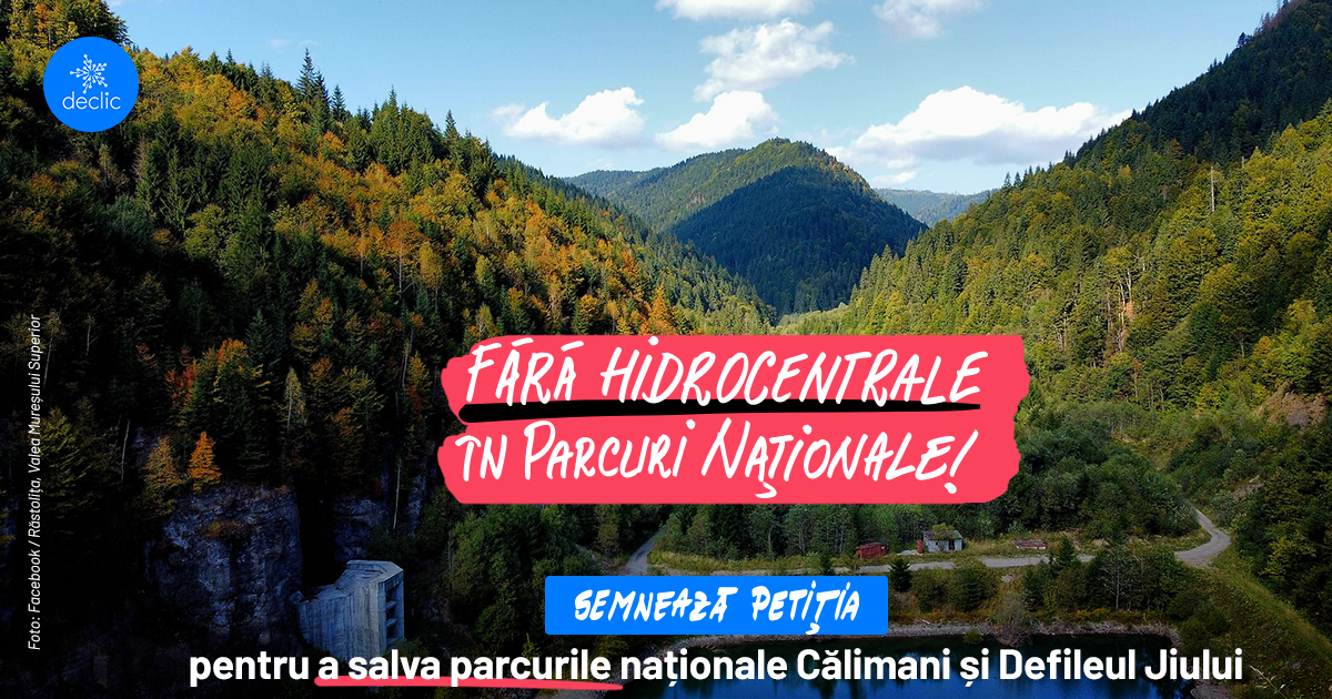 Hidrocentrale ilegale în parcurile naționale